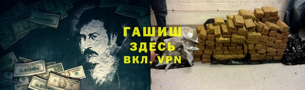 прущие грибы Алзамай
