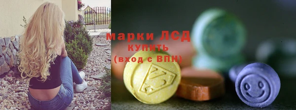 прущие грибы Алзамай