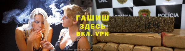 прущие грибы Алзамай