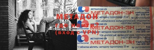 прущие грибы Алзамай