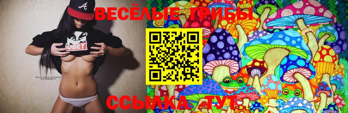 Псилоцибиновые грибы MAGIC MUSHROOMS Крымск