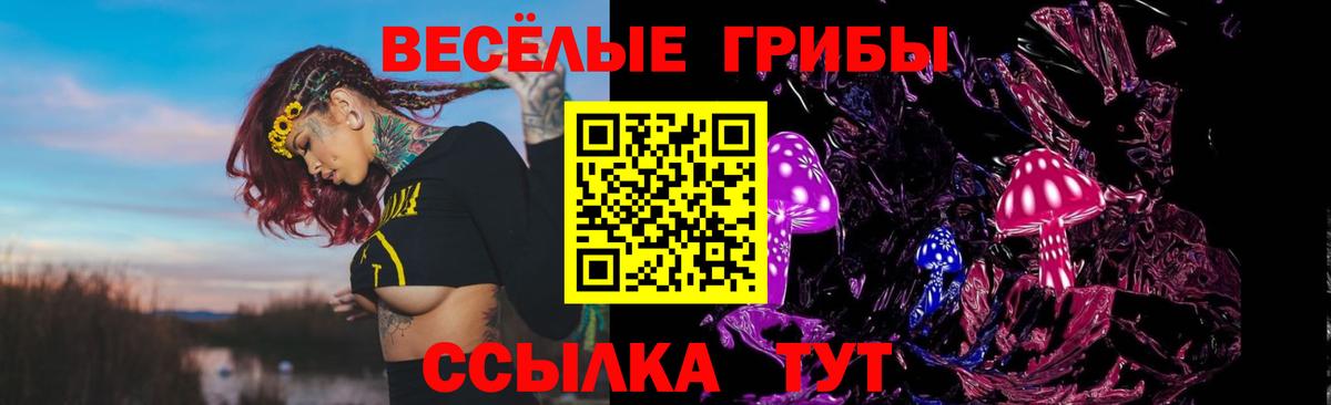 Галлюциногенные грибы Psilocybe  Псилоцибиновые грибы ЛСД  Вход с VPN  Крымск 